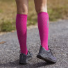 long compression socks MERINO fuschsia