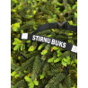 Roe Buck running belt